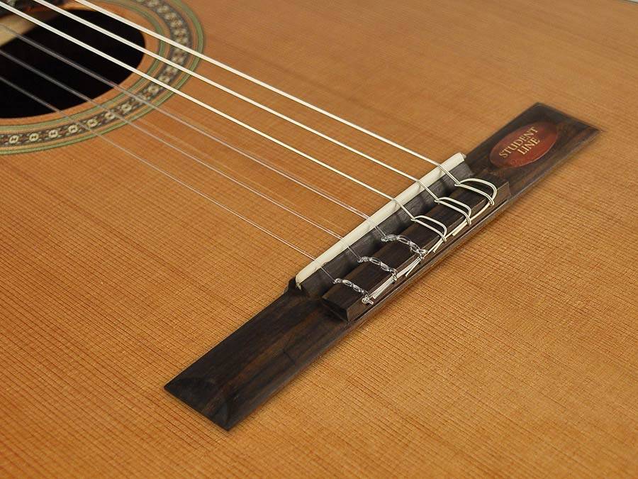 Salvador Cortez CC-10L Student Series linkshandige klassieke gitaar