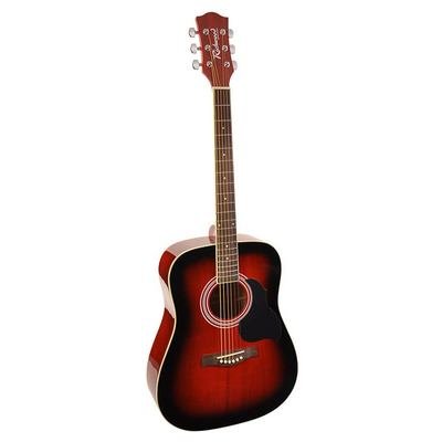Richwood RD 12 RS Acoustic Guitar