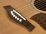 Richwood RD 17C CE Acoustic Guitar