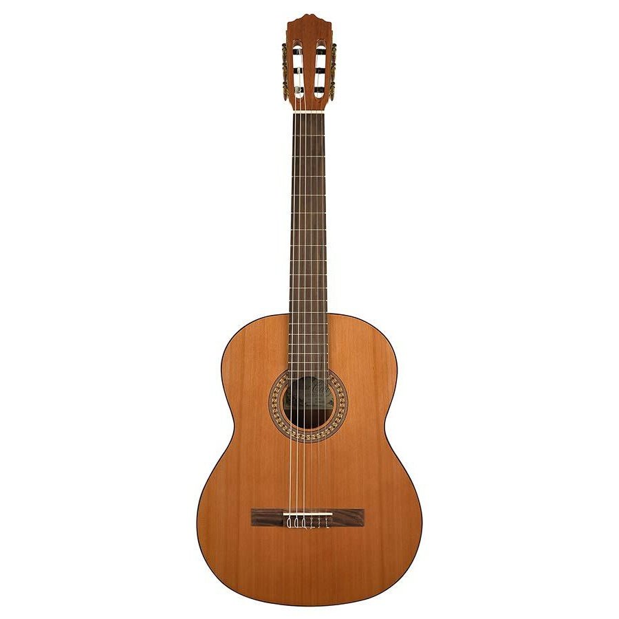 Salvador Cortez CC-22 Solid Top Artist Series klassieke gitaar