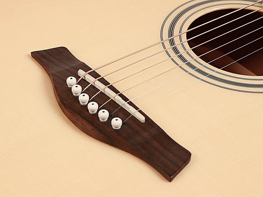 Richwood RG 17 CE Artist Series Acoustic Guitar