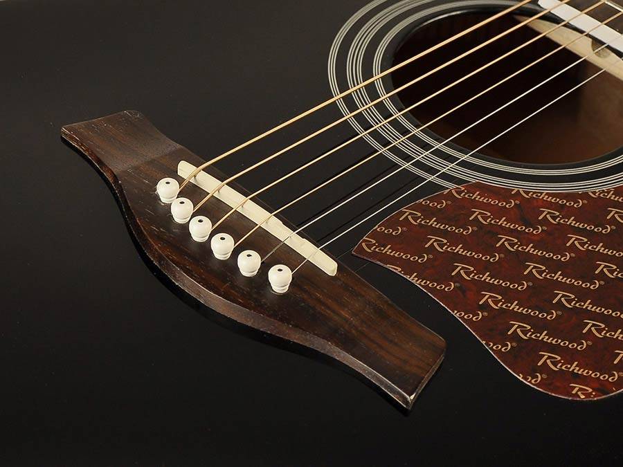 Richwood RD 17 CEBK Acoustic Guitar