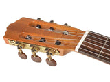 Salvador Cortez CC-10L Student Series Linkshänder-Klassikgitarre