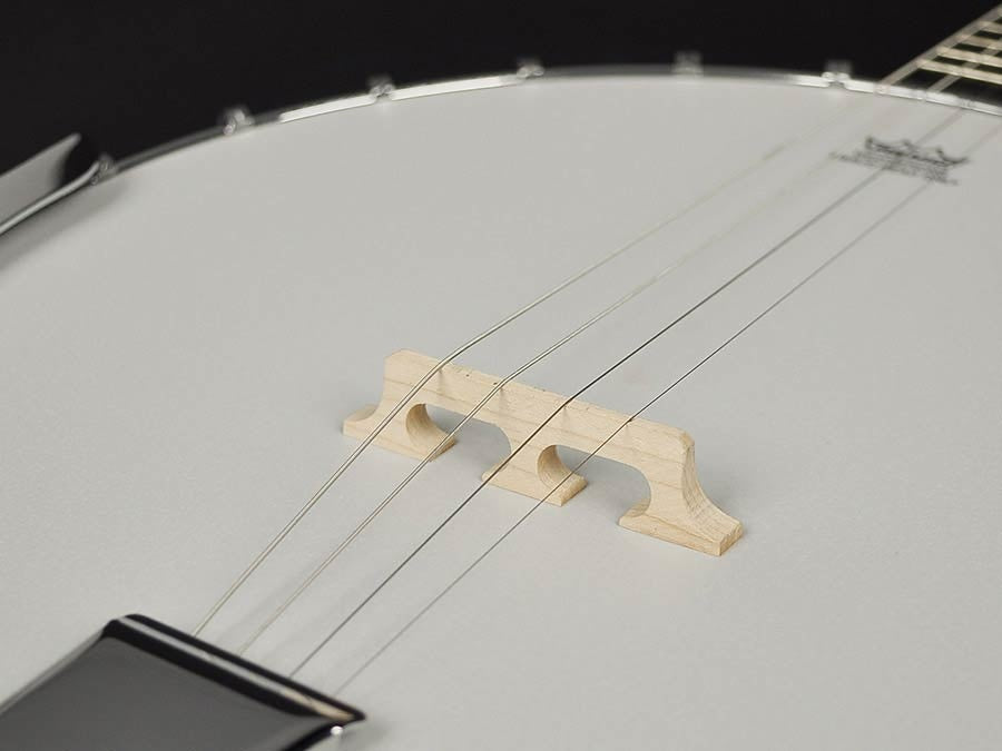 Richwood RMB 604 Tenor Banjo 4 String