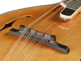 Richwood RMA 110 VS Mandolin A style All Solid