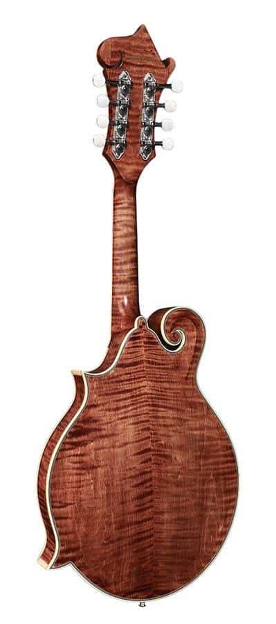 Richwood RMF 220 WN mandolin F style All Solid