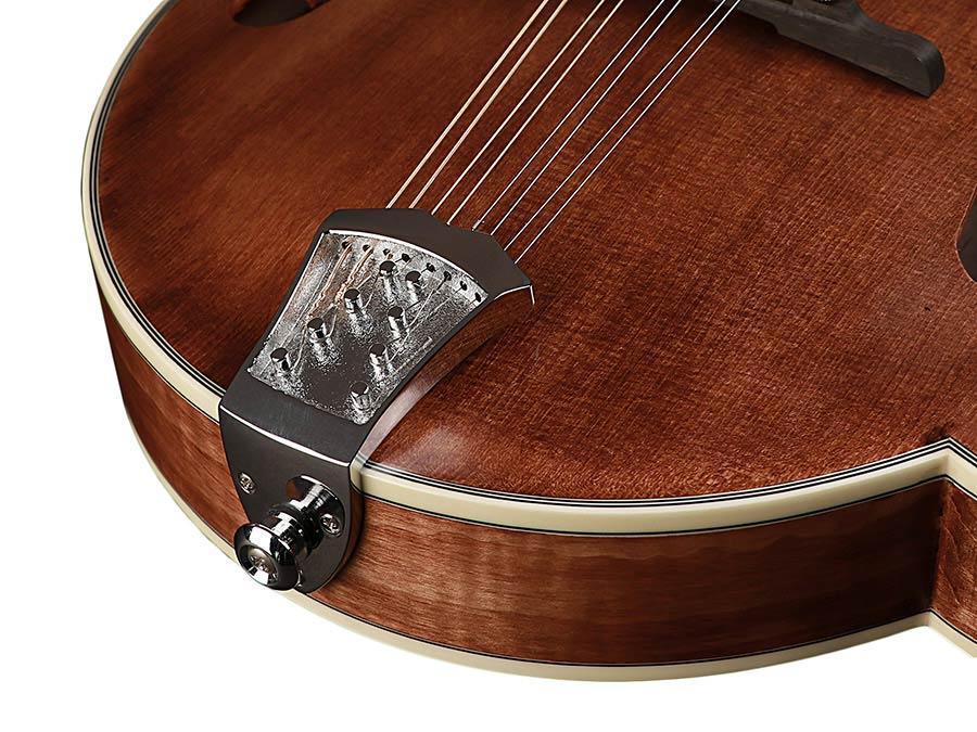 Richwood RMF 220 WN mandolin F style All Solid