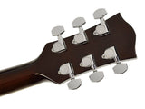 Richwood RA-12-CE Acoustic Guitar