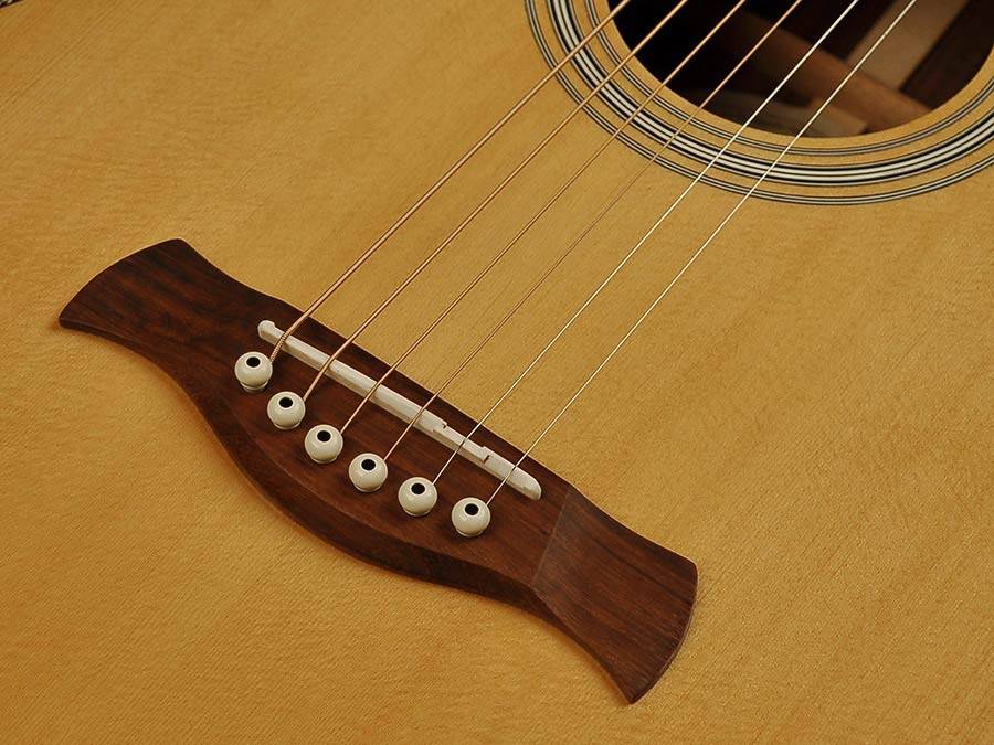 Richwood P 65 VA Handmade Parlor Guitar