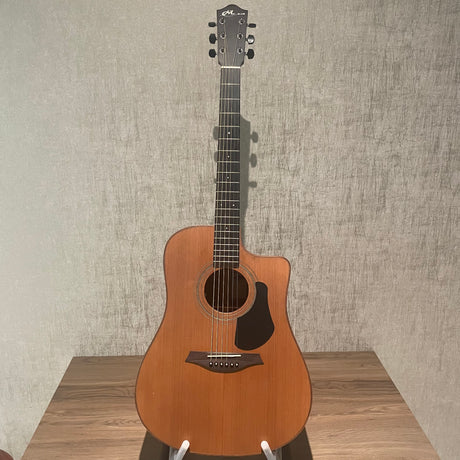 Mayson ESD-10-CE Elementary Dreadnought Occasion