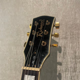 Richwood RE-129 Elektrische Gitaar Occasion