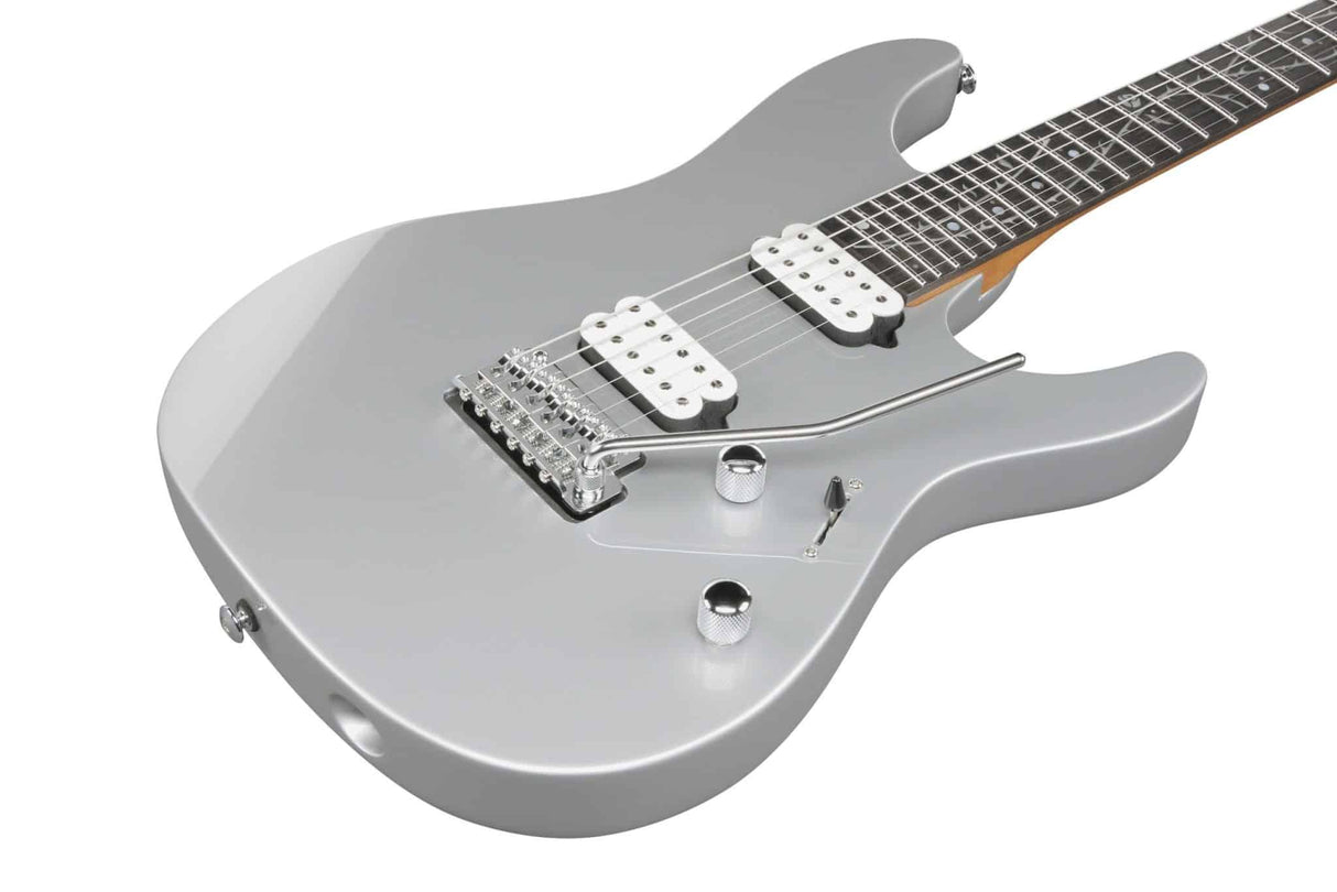 Ibanez TOD10 Silver/Grey