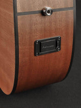 Richwood G 20 CE Handgefertigte Auditorium-Gitarre