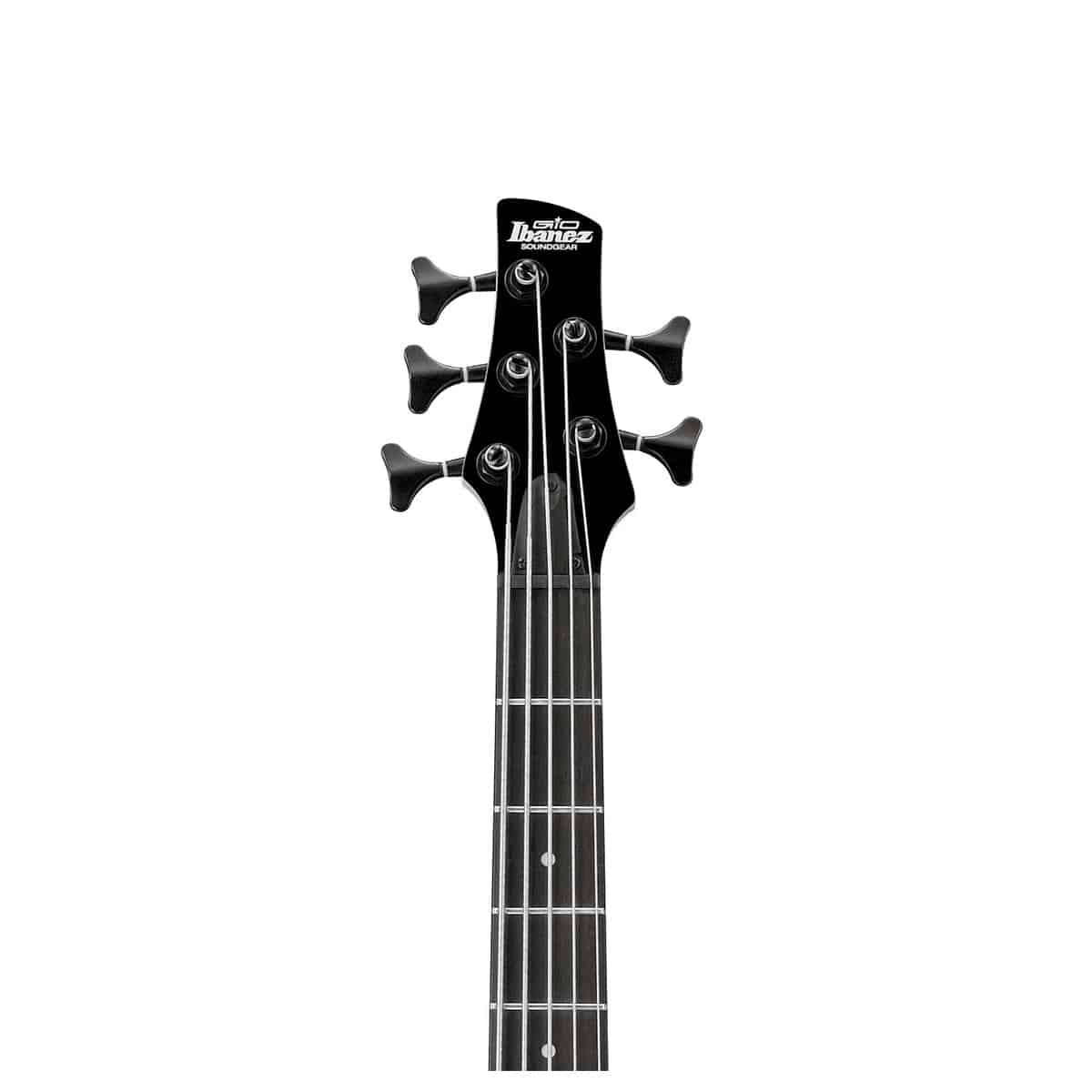 Ibanez Gio GSR205SM Natural Gray Burst 5 string bass guitar