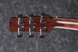 Ibanez AAD170CE Natural Low Gloss