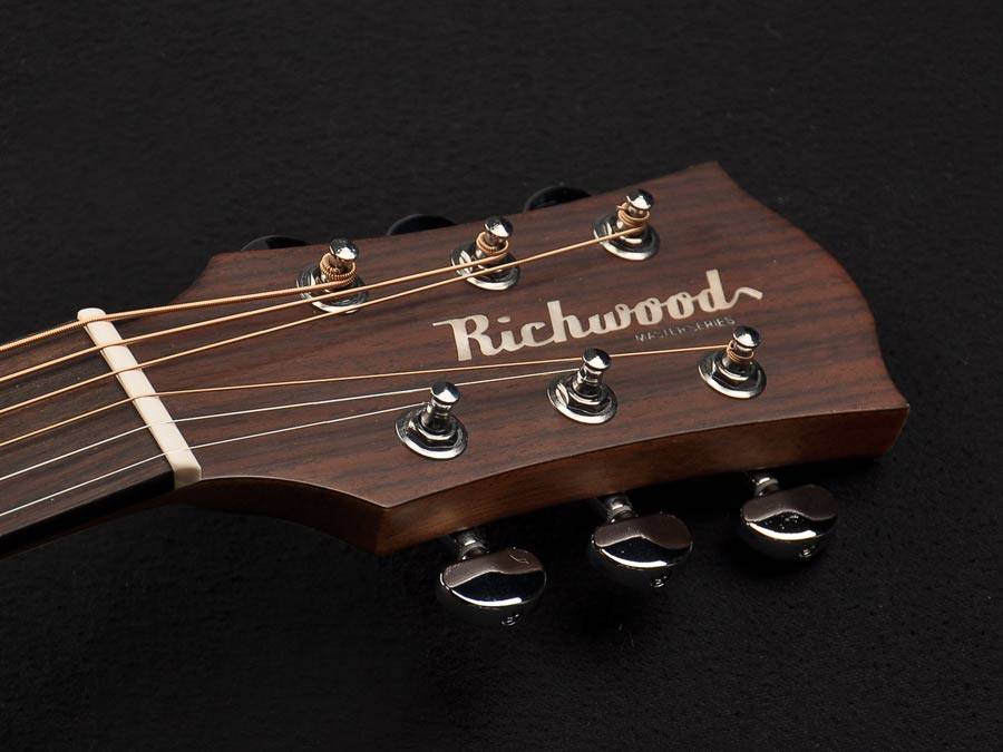 Richwood D-20-CE Dreadnought guitar